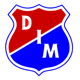 Team logo